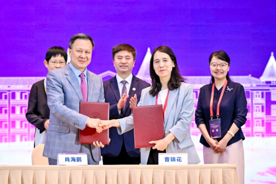 image-20250515112933-77