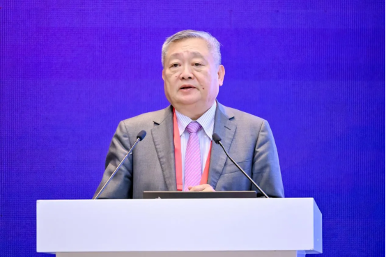 image-20250515113112-88