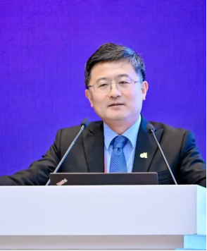 image-20250515113231-100