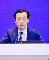 image-20250515113236-101