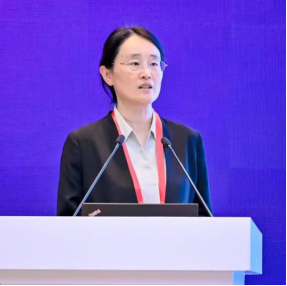 image-20250515113253-104